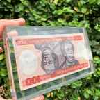 Nota de cem reais antiga do Brasil encapsulada em bloco de resina transparente, com folhagem ao fundo.