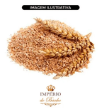 Extrato Glicólico de Gérmen de Trigo (100 g)