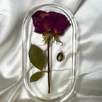 Sílica para Secagem de Flores Redry (01 kg)
