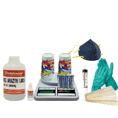 Kit Incrustação de Insetos