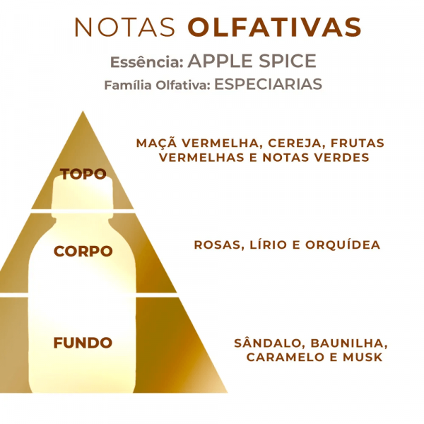 Essência Concentrada Oleosa Base Dietilfitalato Inspirada no Antik Apple Spice (100 g)