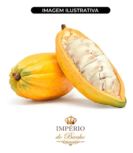 Extrato Glicólico de Cacau (100 g)