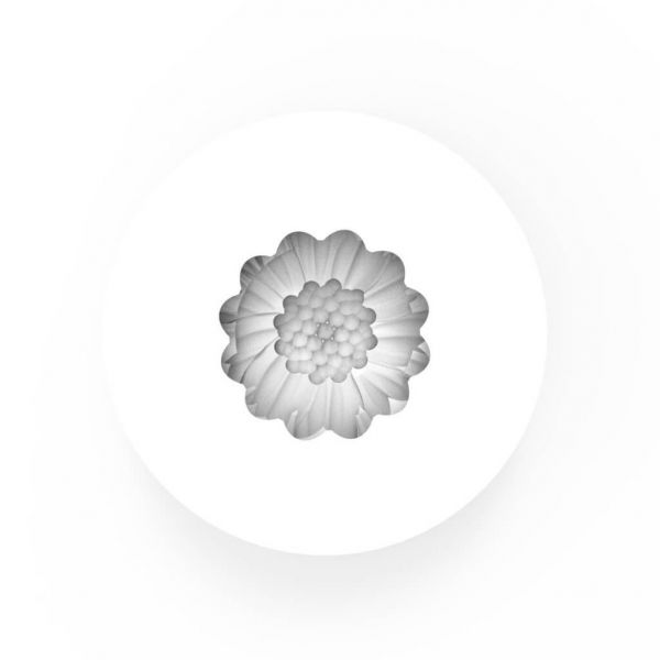 Molde de Silicone Margarida