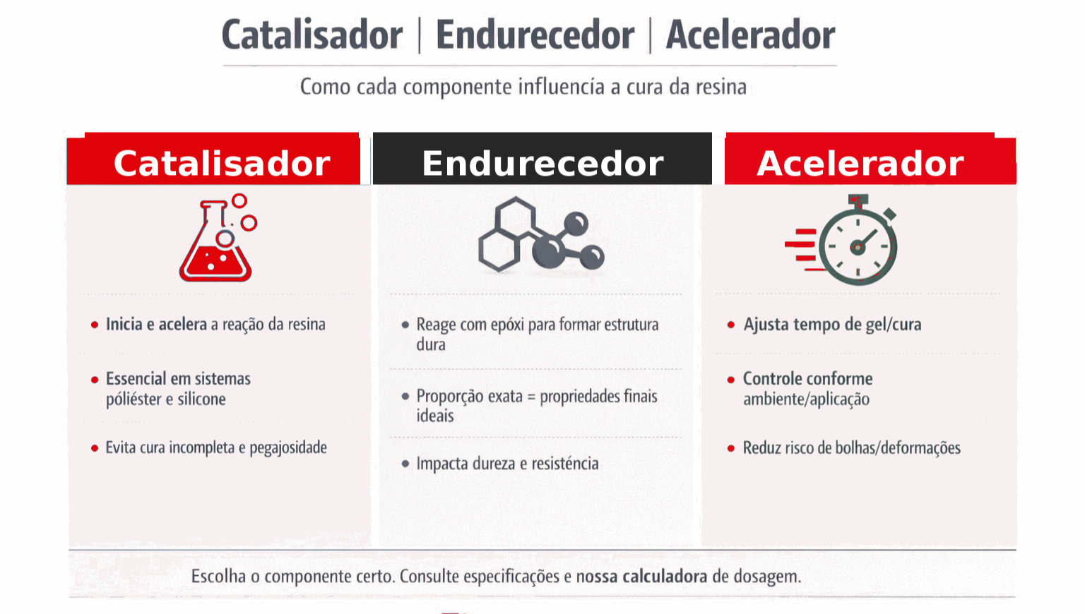Infográfico para categoria catalisadores